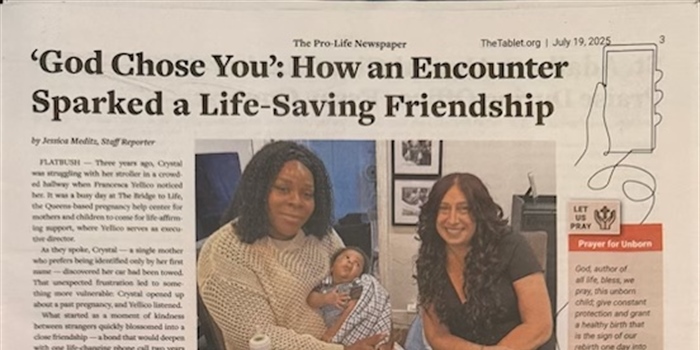 A Spark of Life and Hope
