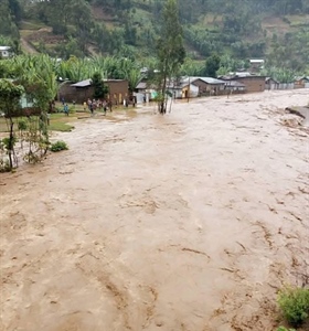 Appeal For Emergency Food Assistance!